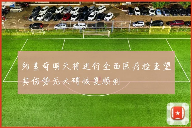 约基奇明天将进行全面医疗检查望其伤势无大碍恢复顺利